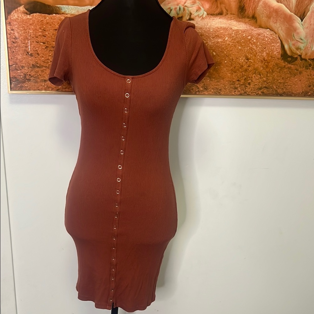 Forever 21 Rust Button-Down Dress